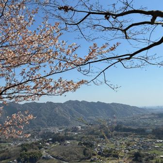 高尾山系の山々