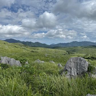 やはり当然の事ながら山焼き直後の方が道がよく分かって歩き易い。
夏草が繁茂しているので足元を確認しながらで無いと前に進めない。