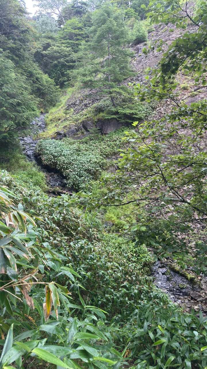 皇海山（鋸山周回）、日帰り最難関 の写真 38