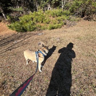 ナイトも名残惜しそう🐾