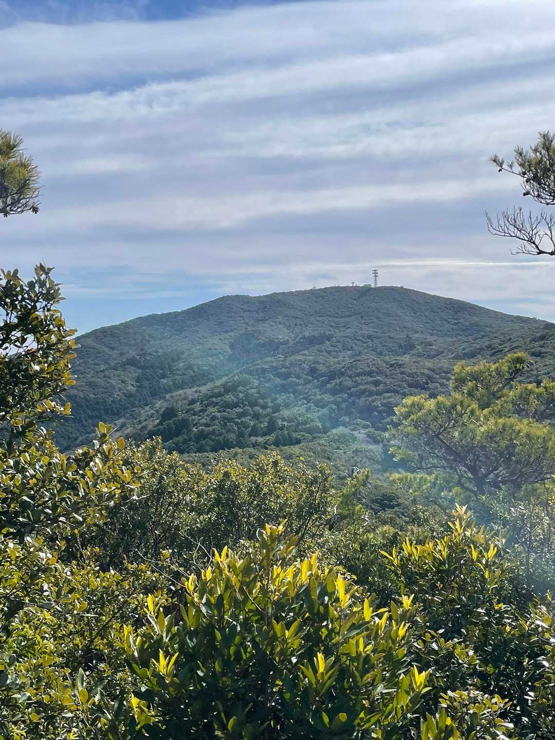 大山登山口-大山-狼煙山-椛峠 周回コースの写真