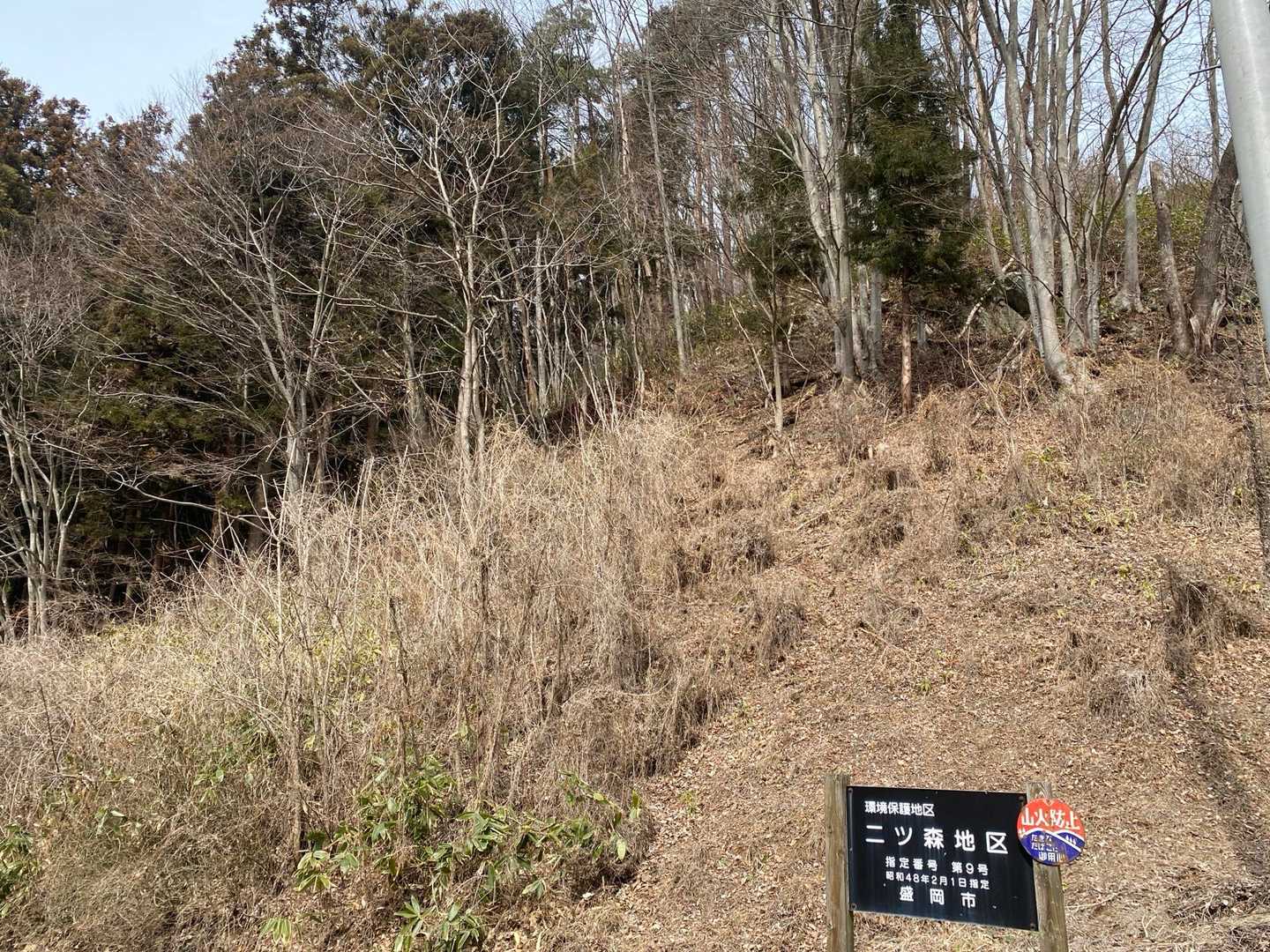 登山道