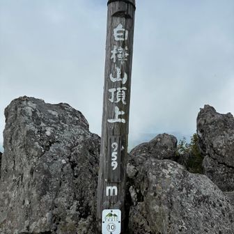 登頂①🙌

僅か30分で中々の高度感と絶景が味あえる🉐のお山でした☺️