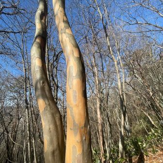 なんか！ちょっと恥ずっ！🫣