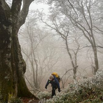 ガスって幻想的な獅子舞の庭😅