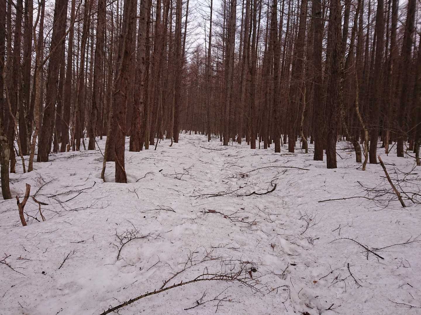 障害物沢山😅