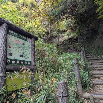 再びここへ。これで20分程のロス。
本日1つ目のやらかし(^_^;)