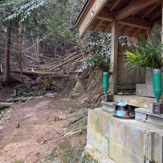 鬱蒼とした森へ