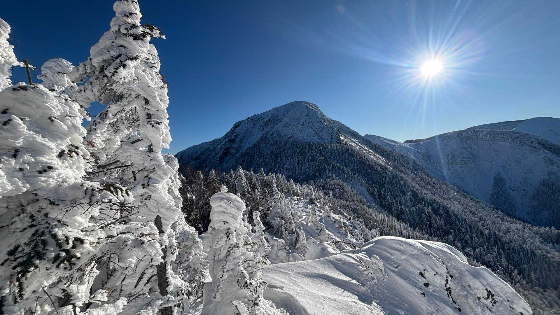 ✨✨天狗岳（西&東天狗岳）✨✨雪の八ヶ岳に惚れたハイカー / HIRO88の