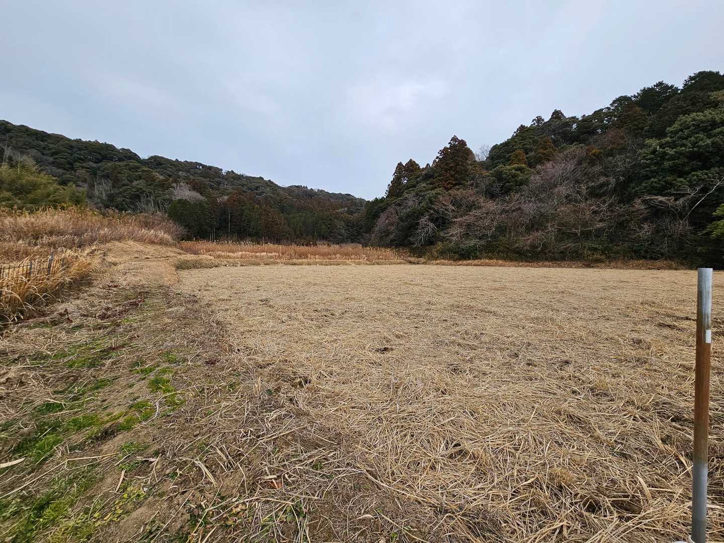 里山って感じですね