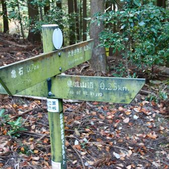 悩んだ最後の分岐。

時間的にはもう下山のタイミング。亀石方面に下山か、計画していた見城へ寄るか。でもかなり疲労が。さぁどうする？