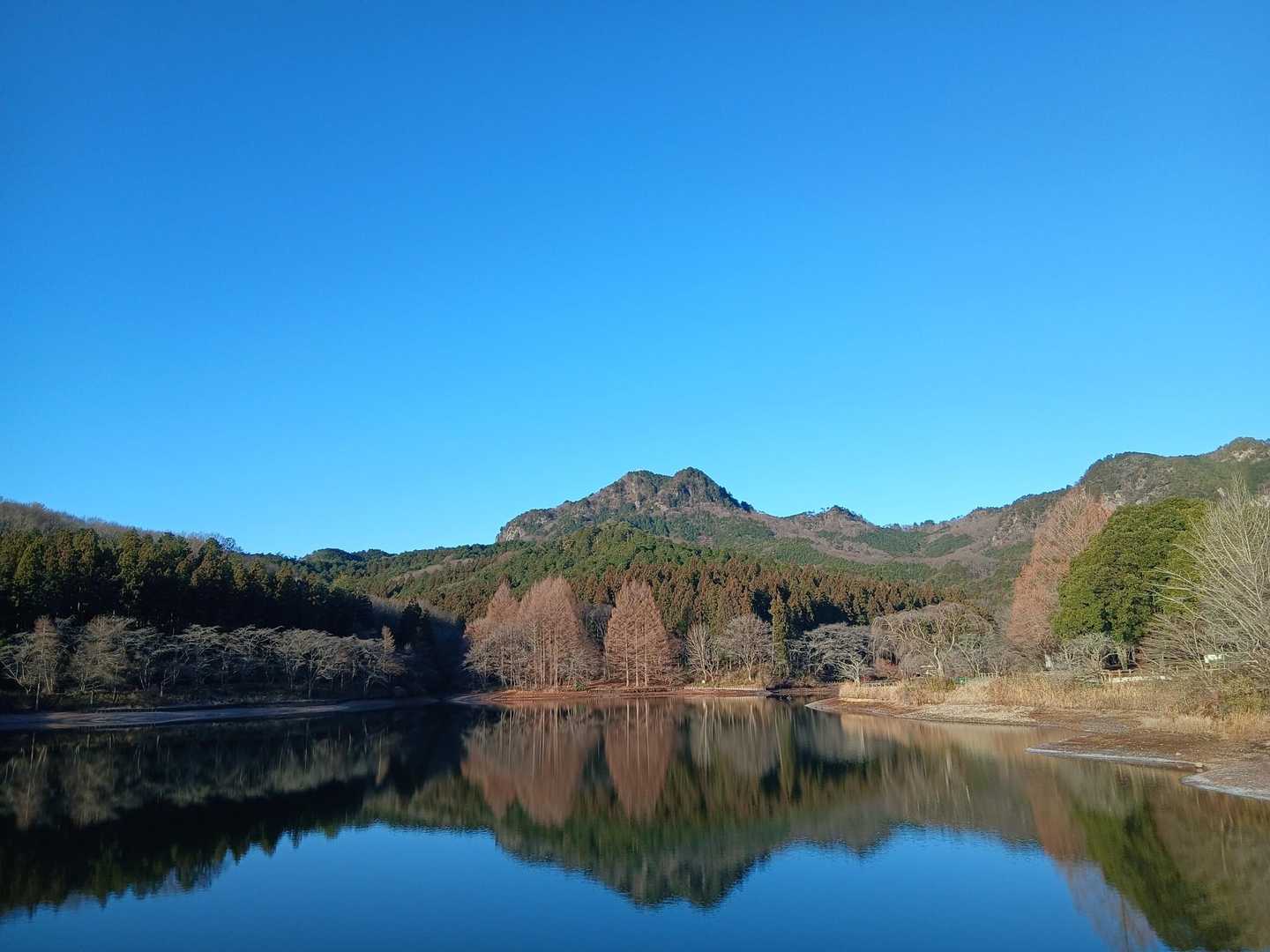 長倉山-鞍掛山-シゲト山-猪倉峠 周回コースの写真