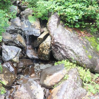 大凹(おおくぼ)の水場