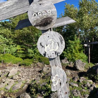 長い樹林帯を抜け西岳山頂です。
誰もいませんでした。
山頂に一人なんて滅多にないです💦
台風の影響でしょうか風が強かったです🌪️
久しぶりに陽を浴びて気持ちいい😄