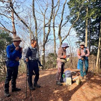 ジューシーな🍎リンゴを頂きました。😋