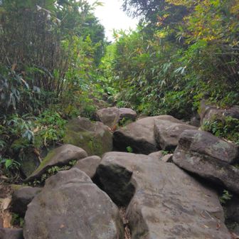 手強い大きな岩ゾーン😵