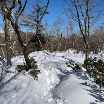 比良岳に向けて、少し縦走路を歩いてみたが、、、
う～む、これはムリやな。。。
とてもたどり着ける気がしない。
あえなく、ここで撤退。