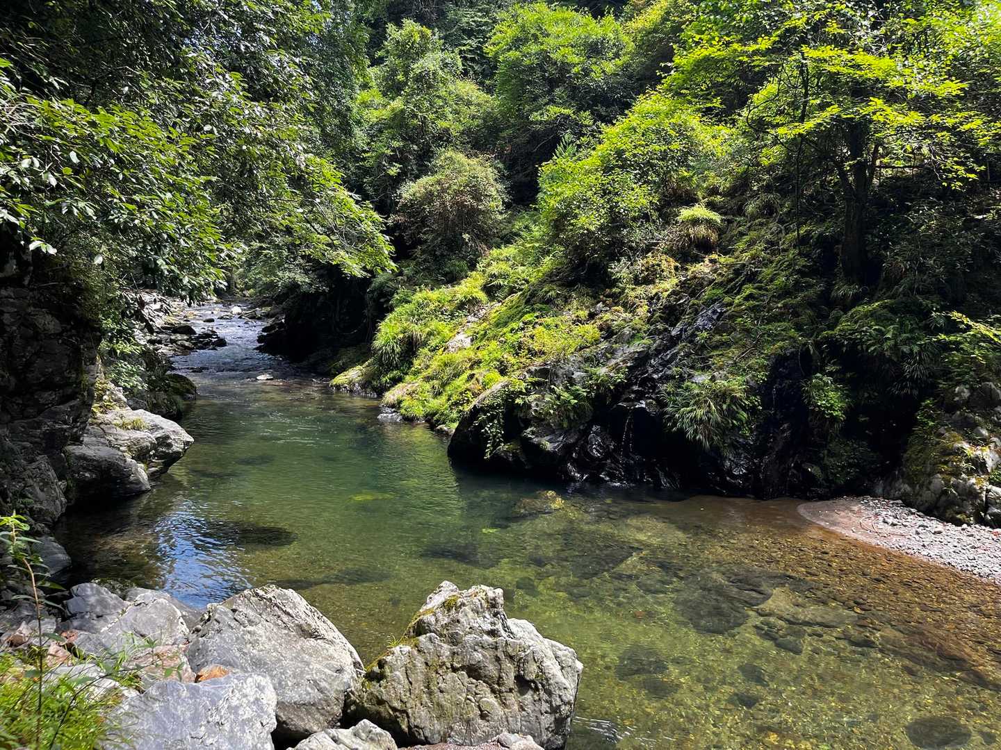 栂尾町バス停-槙ノ尾バス停-六丁峠 縦走コースの写真