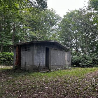 このトイレ🚽
