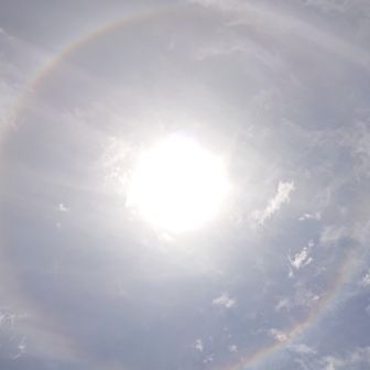 ｱﾝｼﾞｪﾘｰﾅ