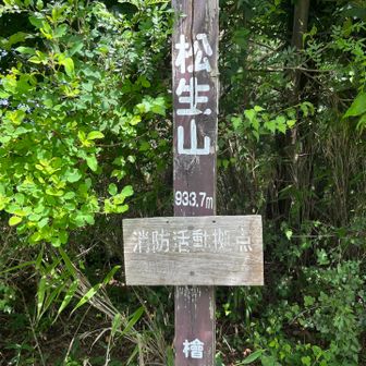 四つ目