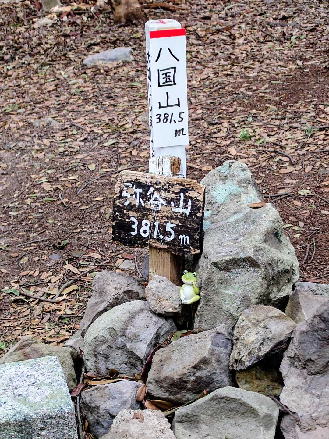 2座目弥谷山登頂🚩
