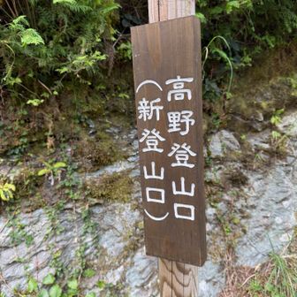 高野(たかの)登山口