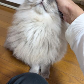 ひで