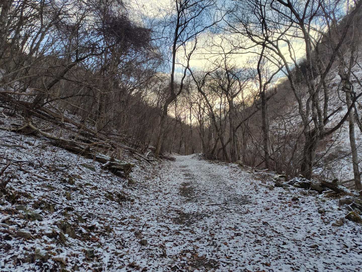 サラッと雪❄