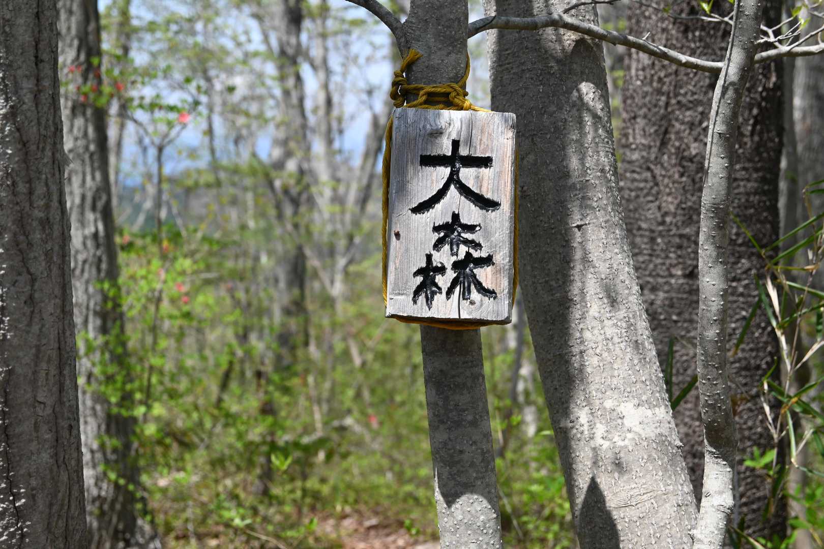 五社山登山観察路愛島台入口-三方塚-増田川上流端の碑-五社 周回コースの写真