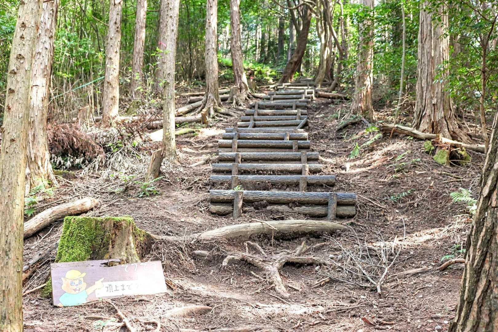 　さらに200mほど進むと、いきなり急な階段の道となった。
　地図を確認すると、距離は60mほどであるが、標高差30m ほどの急登。息を整え、牛歩戦術で登る。