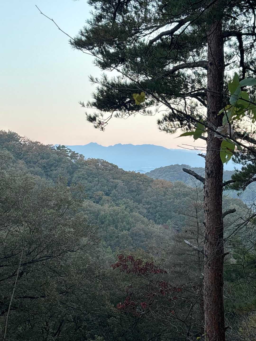烏峠 往復コースの写真
