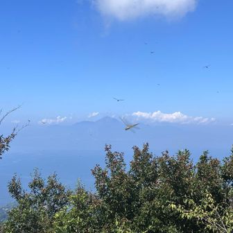 ニノ岳山頂はとんぼが乱舞