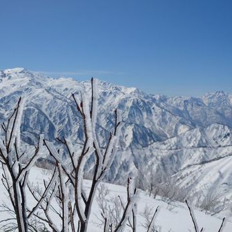 霧氷のたもとで昼ラー中