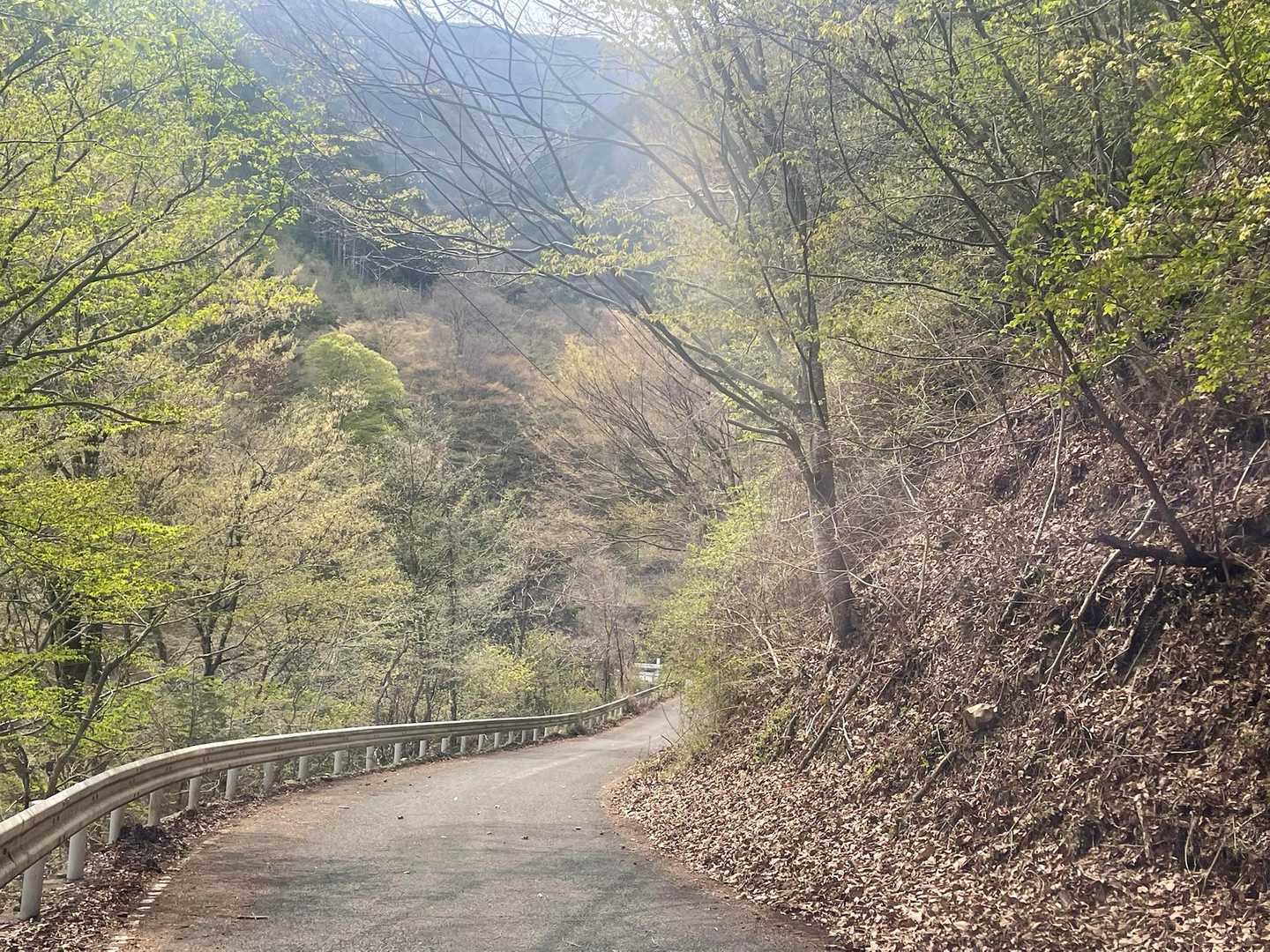 この黄緑色大好き🫶