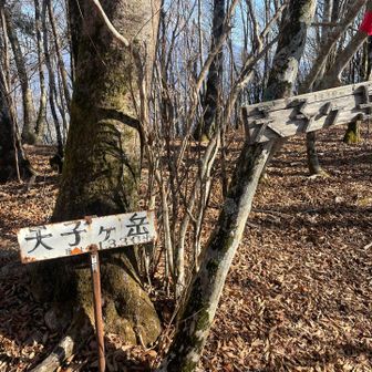 山頂に到着✋ベンチもなく地味な感じ。ちょっと先に行くと眺めがいい場所があるとのことで行ってみよー