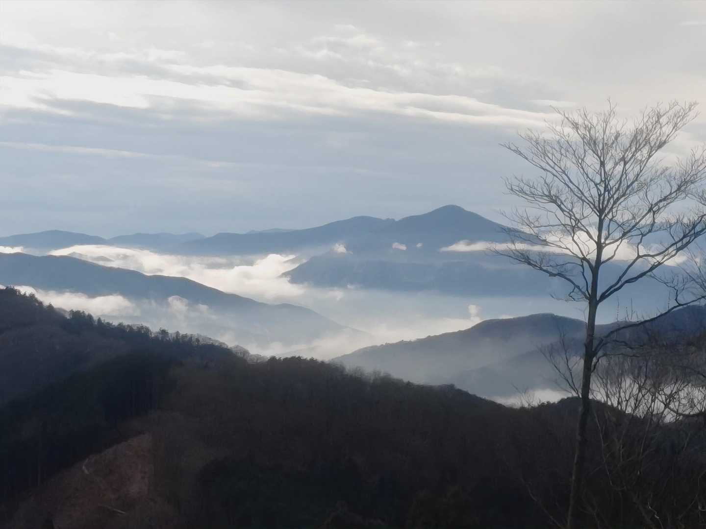 雲海から武甲山がでて幻想的です🤩