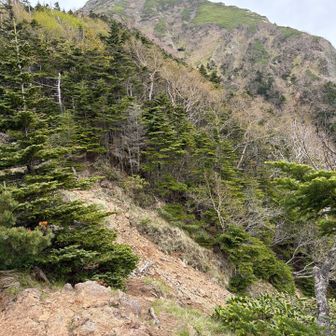 展望台から阿弥陀岳を振り返る