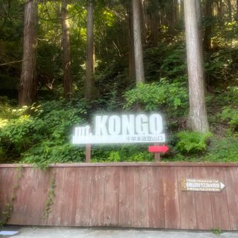 KONGOボヤけてる😶‍🌫️