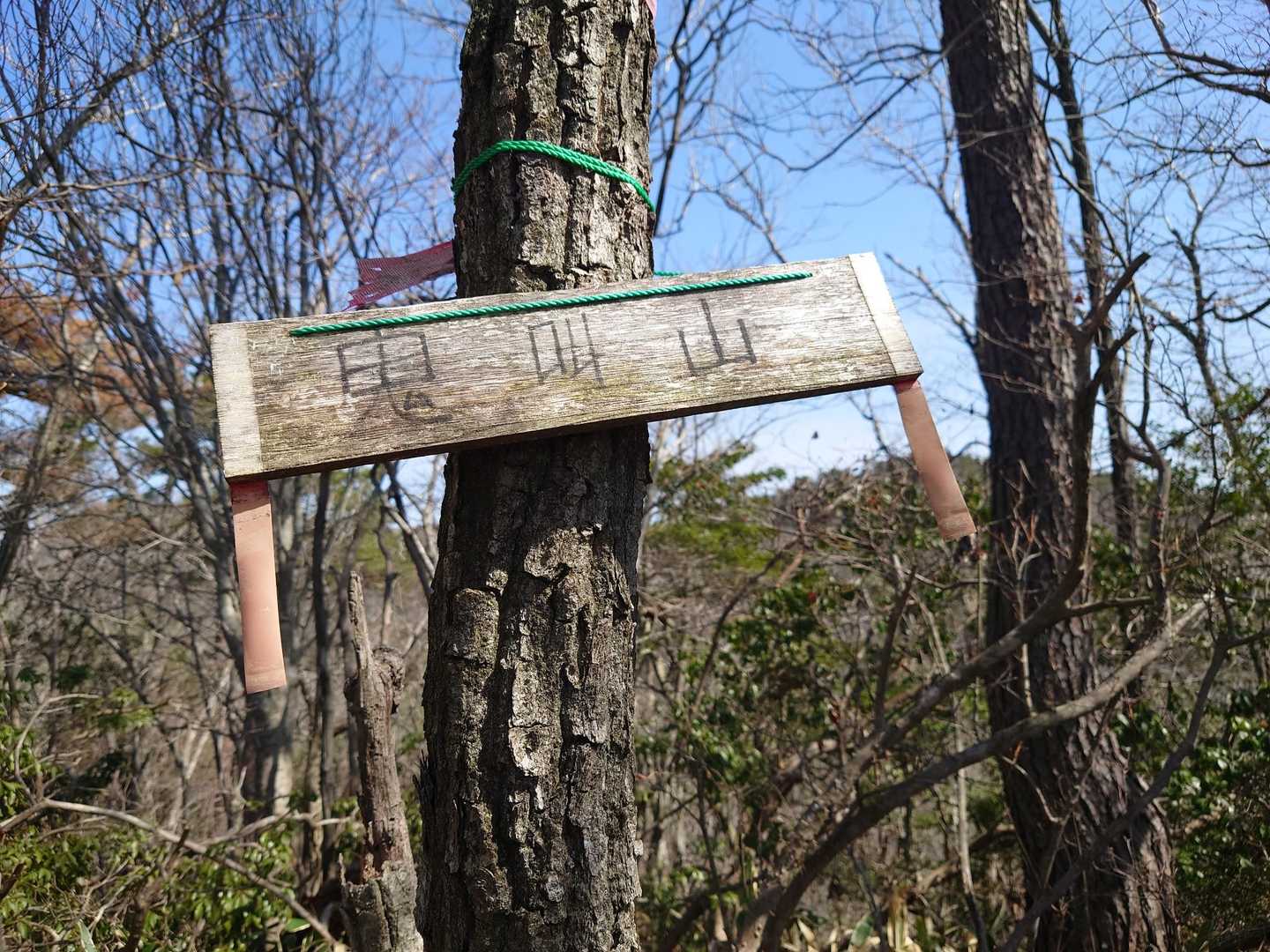 笹藪を少し進み、鬼叫山⛰️山頂へ
ネーミングが怖い👹