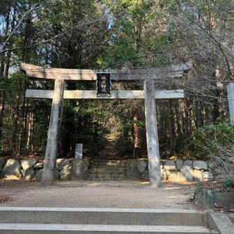 無事下山
ひろぴーさんご一緒くださりありがとうございました😊

久しぶりの本宮山疲れた🥱
またコツコツがんばろう💪

往復ビンタは、またいつかね〜
いつか…🤭