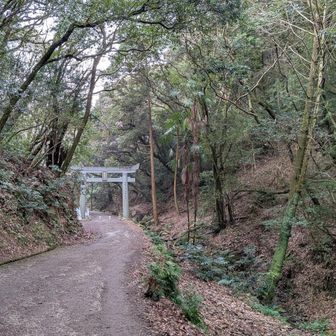 おはようございます。
今日はお友達と天拝山へ。
彼女は山登り初めてです😊