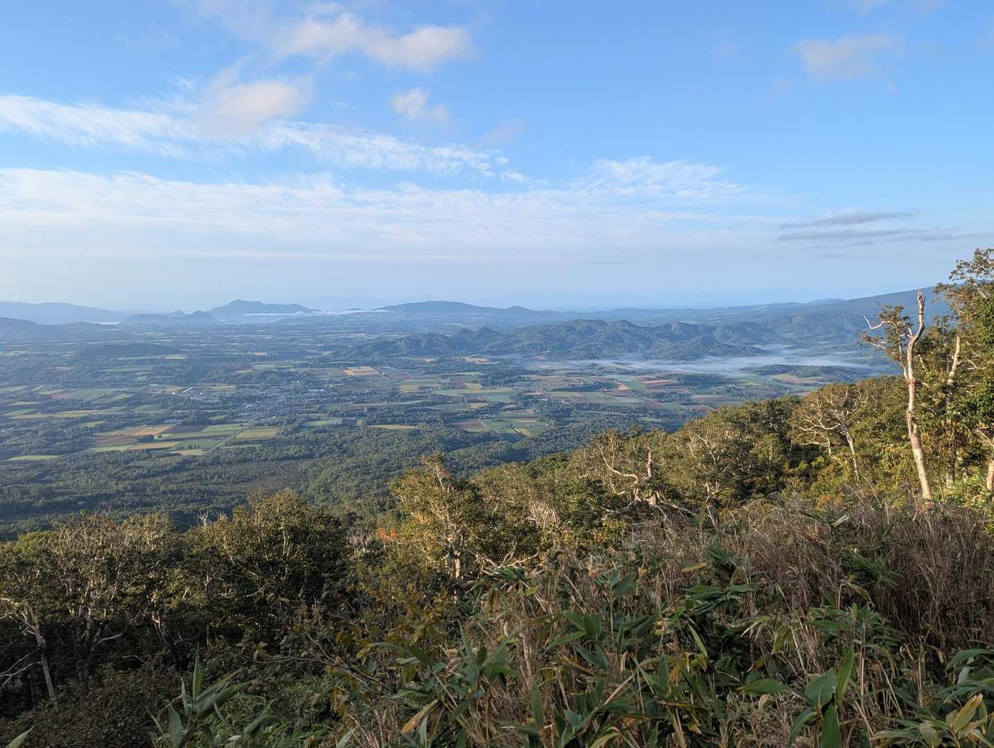 樹林帯を黙々と歩き漸く開けてきた