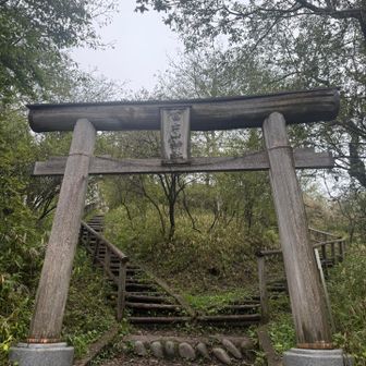 山頂は神社になってる。