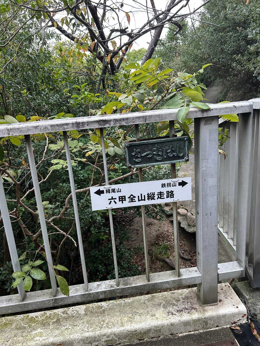 須磨浦公園駅前バス停-旗振山-鉄拐山-高倉山-高倉台登山口 縦走コースの写真
