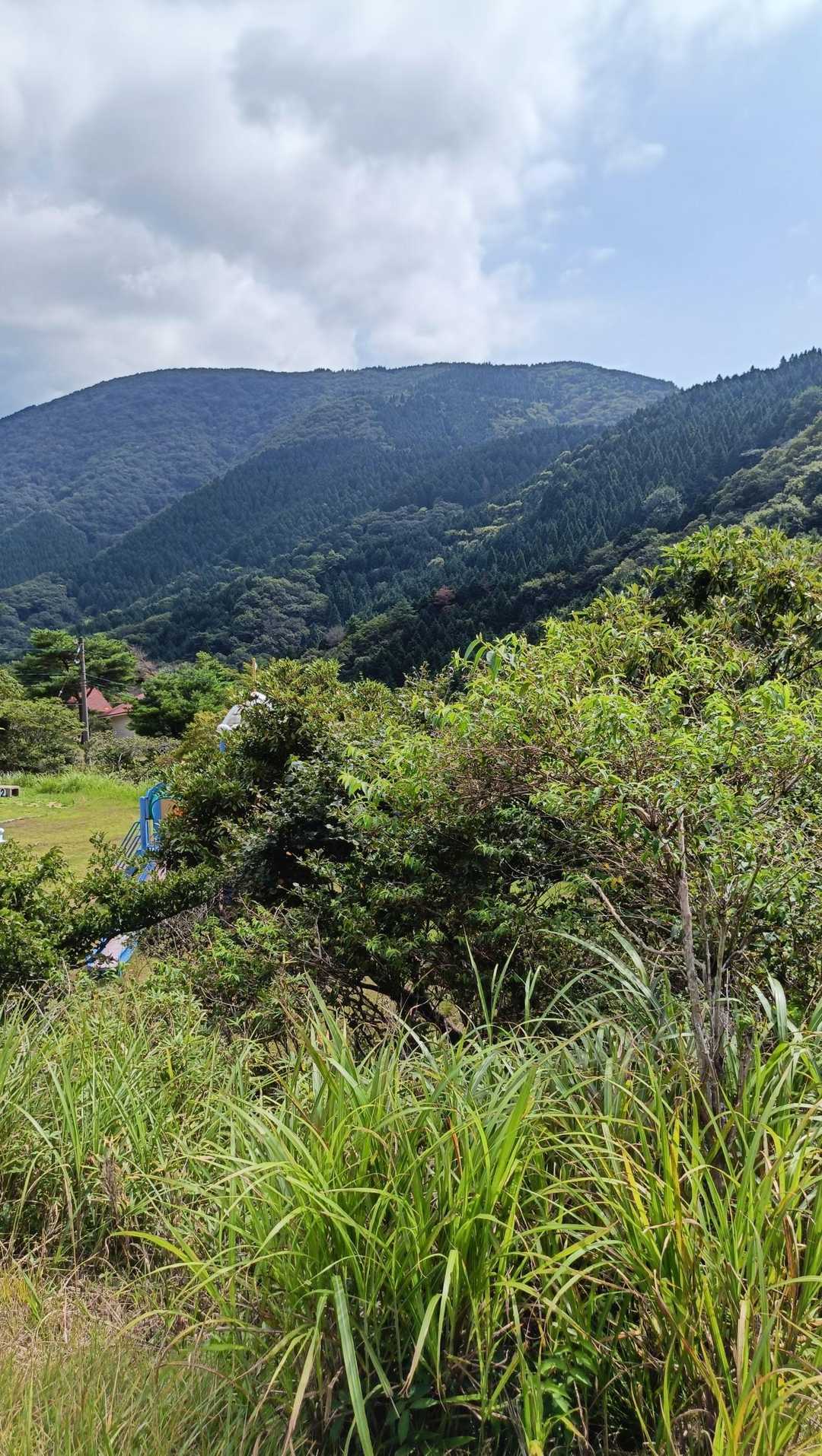 前方に見えてる山並みは大江山連峰かなぁ🤔