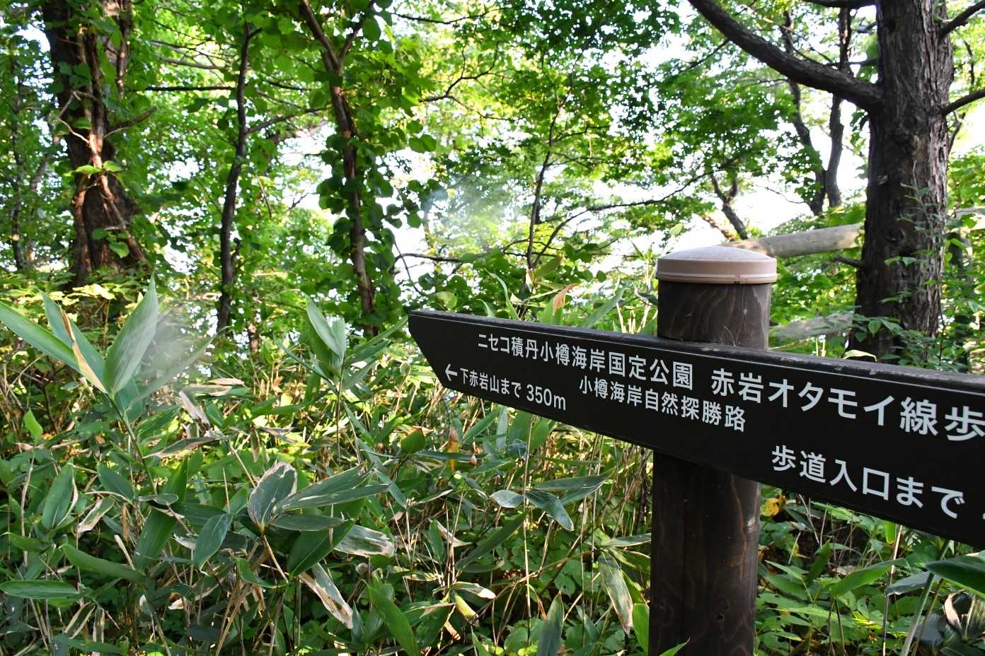下赤岩まで350mすぐです💦
