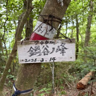 鍋谷の峰へ