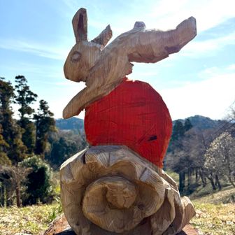 躍動感がある　出雲神話の一場面に見えるね