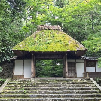 緑に囲まれた山門
苔むした茅葺き屋根と石段がよい感じです
